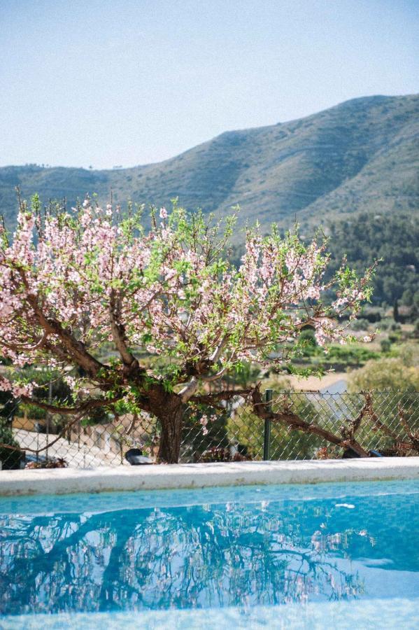 Vila Riurau De Maria Parcent Exteriér fotografie